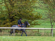 AK181121-48 - Sarsen